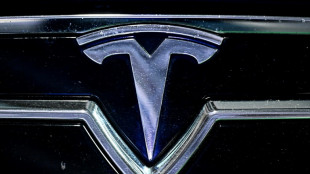 Tesla: les ventes en Europe divisées par deux en avril, les constructeurs chinois progressent
