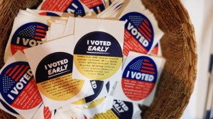 Votaci&oacute;n anticipada en EEUU alcanza participaci&oacute;n r&eacute;cord de 48 millones