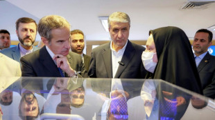 El tiempo apremia para lograr un acuerdo sobre el programa nuclear iran&iacute;, advierte el jefe del OIEA