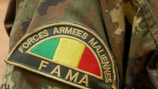 "Wei&szlig;h&auml;utige" K&auml;mpfer laut UN-Report in T&ouml;tung von Zivilisten in Mali verwickelt