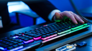 Berlino accusa Mosca di aver tentato di destabilizzare il voto federale