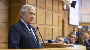 Tajani, Kiev può usare armi italiane entro i confini