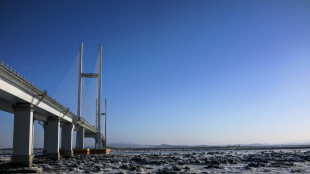 New four-lane bridge opens between China, North Korea