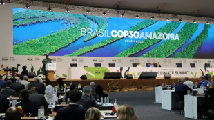 Pa&iacute;ses promueven impuestos a los vuelos de lujo durante la COP30
