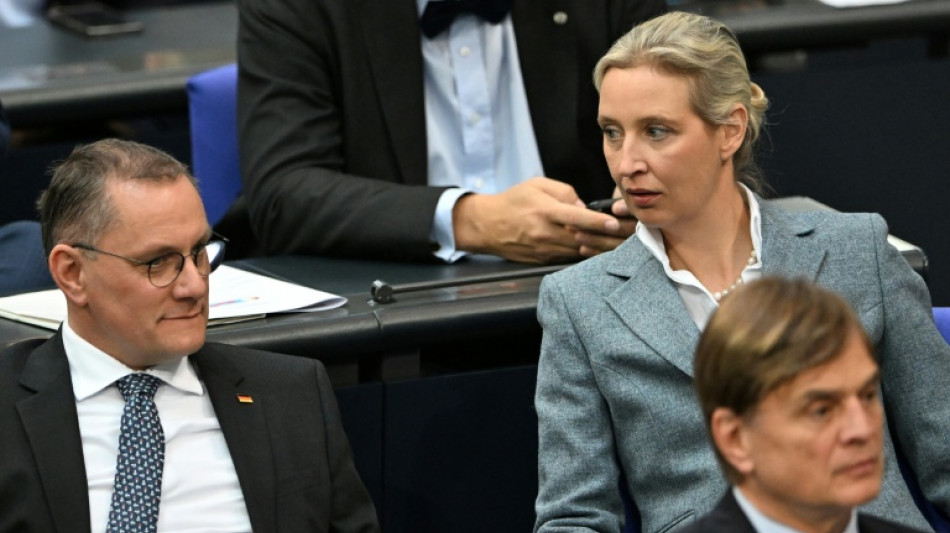 AfD will sich gegen Verfassungsschutz-Einstufung "juristisch zur Wehr setzen"