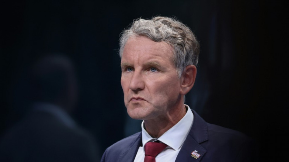 Verfahren gegen H&ouml;cke in Th&uuml;ringen wegen Landtagswahl vorl&auml;ufig eingestellt