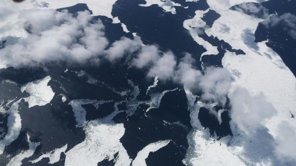 Storms, warm seas drove sudden drop in Antarctic ice: study