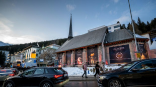 Massive US presence makes its mark on Davos