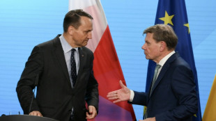 Berlin und Warschau wollen Druck auf Kreml für Waffenruhe in der Ukraine erhöhen