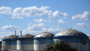 Il petrolio chiude in rialzo a New York a 93,74 dollari