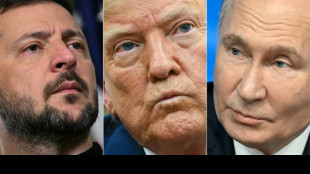 Le Kremlin repousse l'idée d'un sommet entre Zelensky, Poutine et Trump