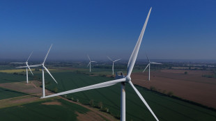 Svimez-A2A, da crescita rinnovabili 73mila posti al Sud nel 2030