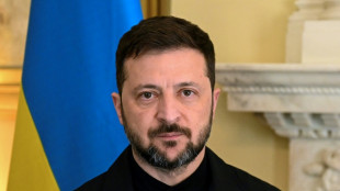 Ukrainischer Präsident Selenskyj spricht vor Europarat