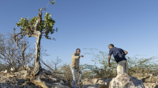 Somaliland pins hopes on critical mineral gold rush 