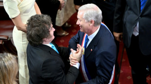 Milei recebe Kast ap&oacute;s captura frustrada de ex-guerrilheiro chileno na Argentina