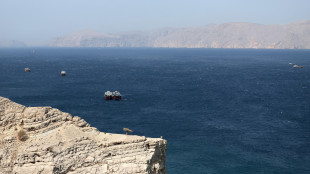 Assoferr, +50% costi imprese per bypassare Hormuz, +20 giorni per viaggio merci