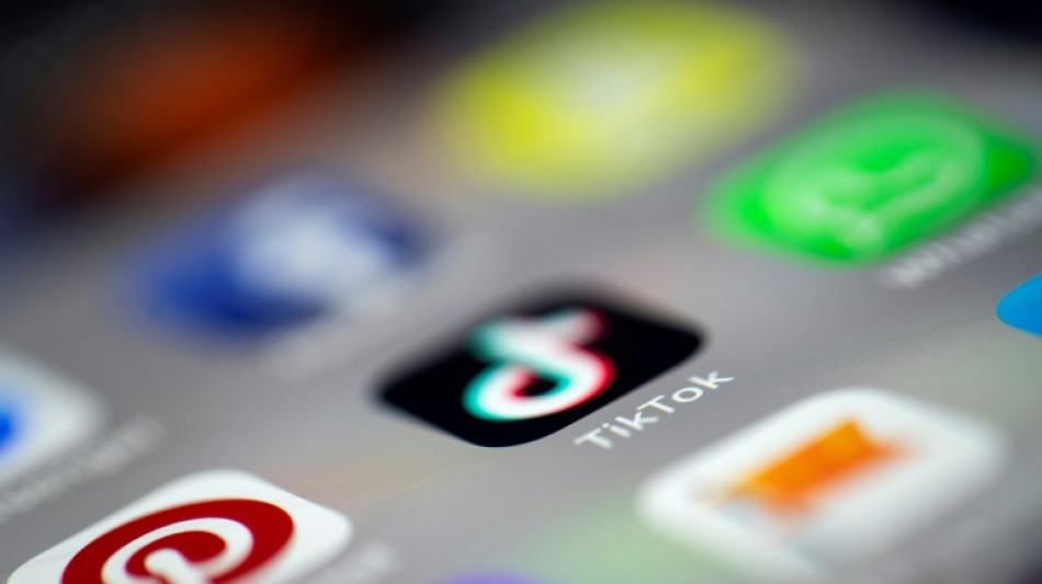 Alb&acirc;nia fechar&aacute; o TikTok por pelo menos um ano