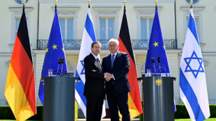 Steinmeier dankt Israel f&uuml;r Vers&ouml;hnung - Herzog lobt "moralische Klarheit"